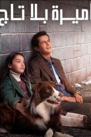 مسلسل اميرة بلا تاج الموسم الاول مدبلج