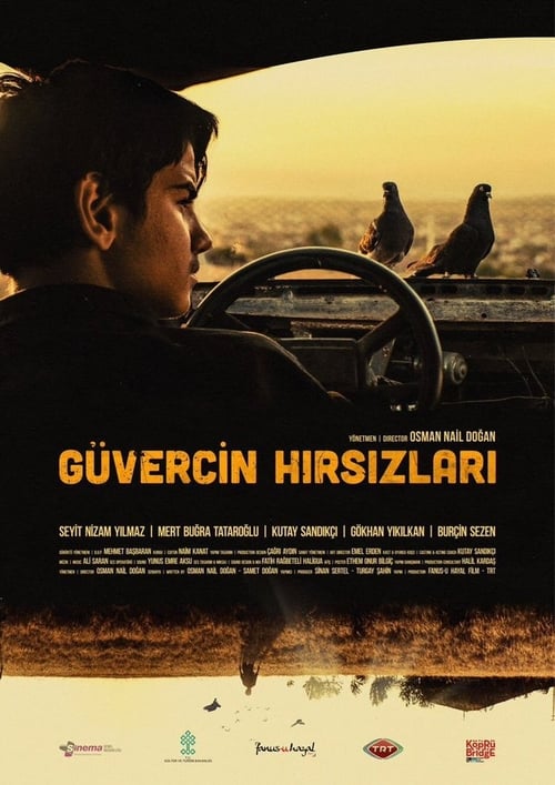 فيلم سارقو الحمام مترجم